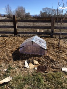 My 3x3 cold frame.  Hoping it warms the ground so I can grow greens!